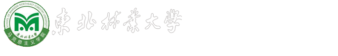 2026美加墨世界杯官网